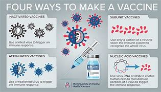 Image result for How Vaccines Work Diagram
