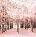 Image result for Trees Rainy Day