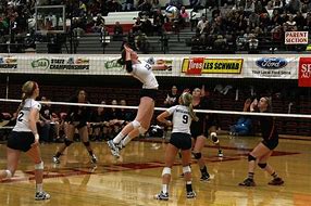 Image result for High School Volleyball Tournament Florida Tour