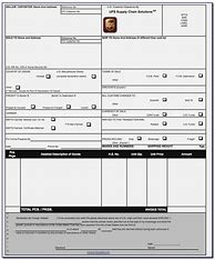 Image result for UPS Commercial Invoice PDF Fillable