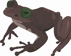 Image result for Brown Frog Clip Art