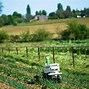 Image result for Types of Agricultural Robots