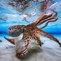 Image result for Green Octopus