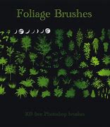 Image result for Photoshop Foliage Brushes