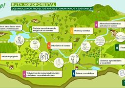 Image result for qgroforestal