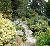 Image result for Mosaic Garden Stepping Stones