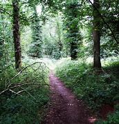 Image result for Taff Trail