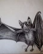 Image result for Realistic Bat