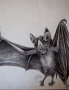 Image result for Real Bat Drawing