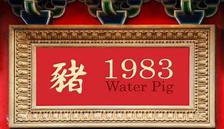Image result for Water Pig Chinese Zodiac