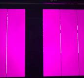 Image result for Pink Screen Lines