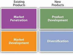 Image result for Diversification Plan for Products Icon