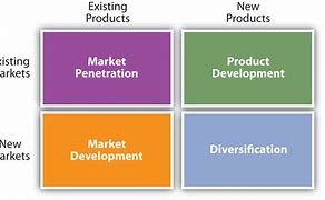 Image result for Examples of Diversification Core Diagrams