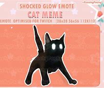 Image result for Glowing Floating Cat Meme