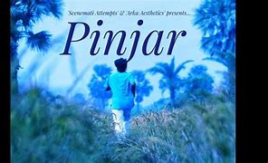 Image result for pinyador