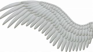 Image result for Wing