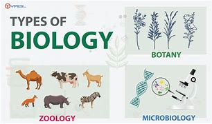 Image result for Types of Biologics
