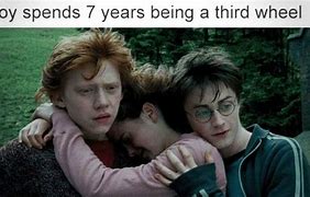 Image result for HP Memes Hermione