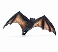 Image result for Fruit Bat Toys