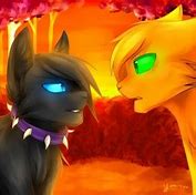 Image result for Warrior Cats Waffle Meme