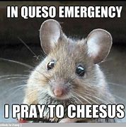 Image result for Mouse Cheese Meme