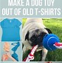 Image result for DIY Dog Toys