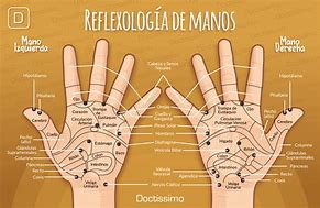 Image result for Reflexologia De Manos