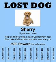 Image result for I Lost My Dog