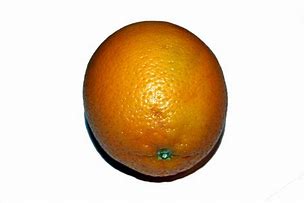 Image result for Navel Orange Pear