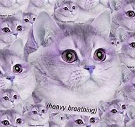 Image result for Original Heavy Breathing Cat Meme