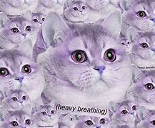 Image result for Breathing Cat Meme