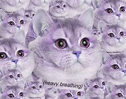 Image result for Emoji Heavy Breathing Cat