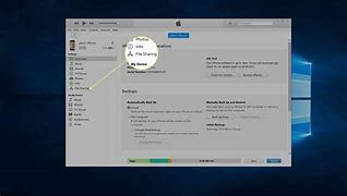 Image result for How to Access Files On iPhone From PC