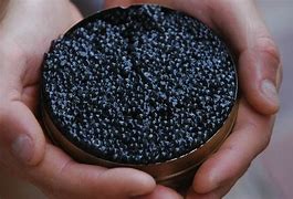 Image result for Caviar Memes