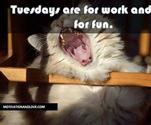 Image result for Tues Work Memes