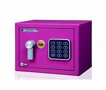 Image result for Small Sentry Safe
