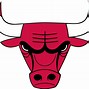 Image result for Miami Bulls Logo