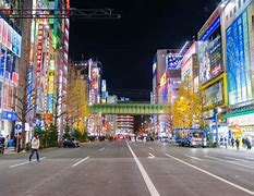 Image result for Akihabara Travel Guide