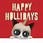 Image result for Grumpy Cat Birthday Cards