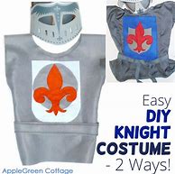 Image result for DIY Knight Costume Easy