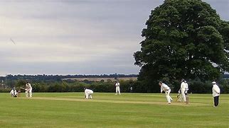 Image result for Cricket Batting Shoes