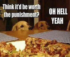Image result for Pizza and Beer Meme