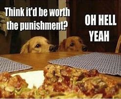 Image result for Best I Can Do Is Pizza Meme