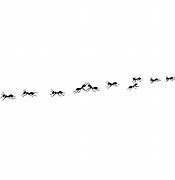 Image result for Ant Trail Print Out