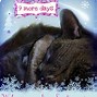 Image result for Cat Christmas Phrases
