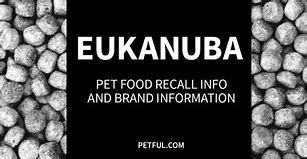 Image result for Eukanuba