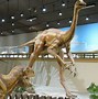 Image result for Dinosaur Museum USA