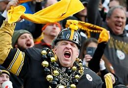 Image result for Crazy Steelers Fan