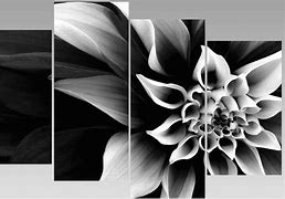 Image result for Black White Split Canvas