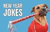 Image result for Corny New Year Jokes